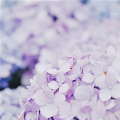 混沌天下手游(暂未上线)v1.1 官方安卓版