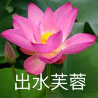 代号息壤山海经手游测试服下载