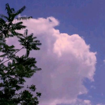现代社会坏主意层出的弊病：“利益集中，成本分散”